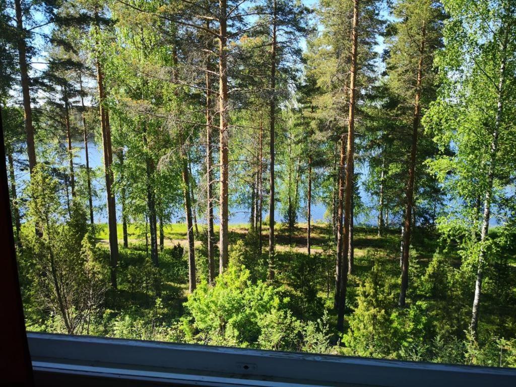 Saimaa Lakeland Fisherman'S Village Savonlinna Luaran gambar